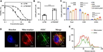 Mitochondria-Targeted Mesoporous Organic Silica Nanoplatforms for Overcoming Cisplatin Resistance by Disturbing Mitochondrial Redox Homeostasis